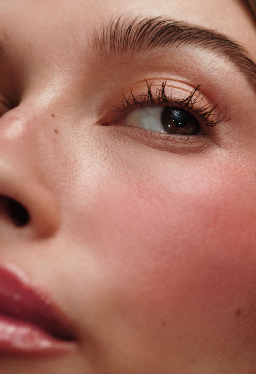 rhode Pocket Blush – Buildable Hydrating Cream Blush | VELORA